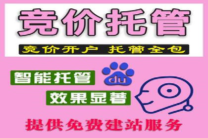 SEM推广实战：案例分析及策略调整